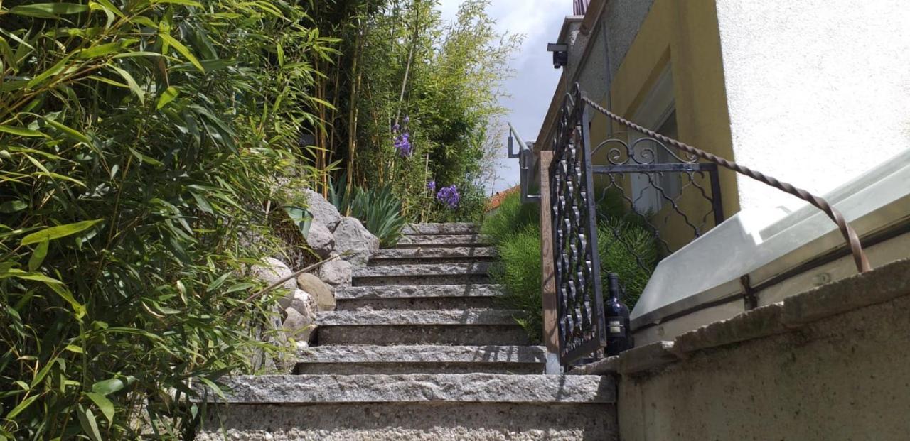 Ferienwohnung Wiesmuehlstrasse Henndorf am Wallersee Exterior foto